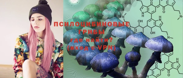 дмт Белоозёрский