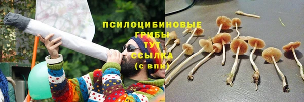 дмт Белоозёрский